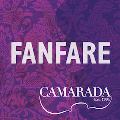 Camarada's 2017-2018 Season